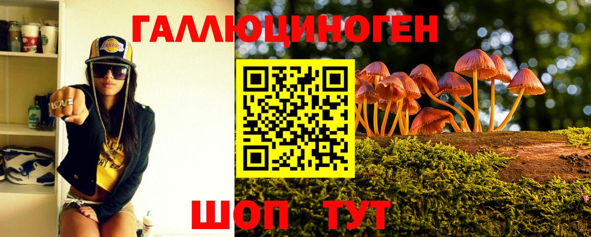 Псилоцибиновые грибы Cubensis  Псилоцибиновые грибы прущие грибы  Вход с VPN  купить   Видное 